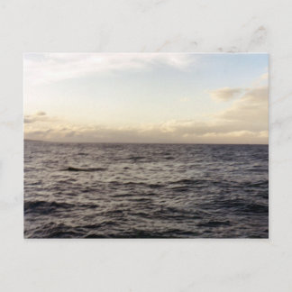 Hawaii Blue Postcard