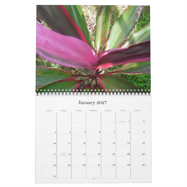 Hawaii Calendar 2010 (Jan 2027)