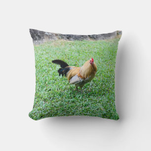 hawaii chicken hen photo cushion