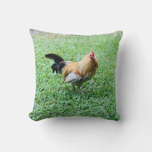 hawaii chicken hen photo cushion