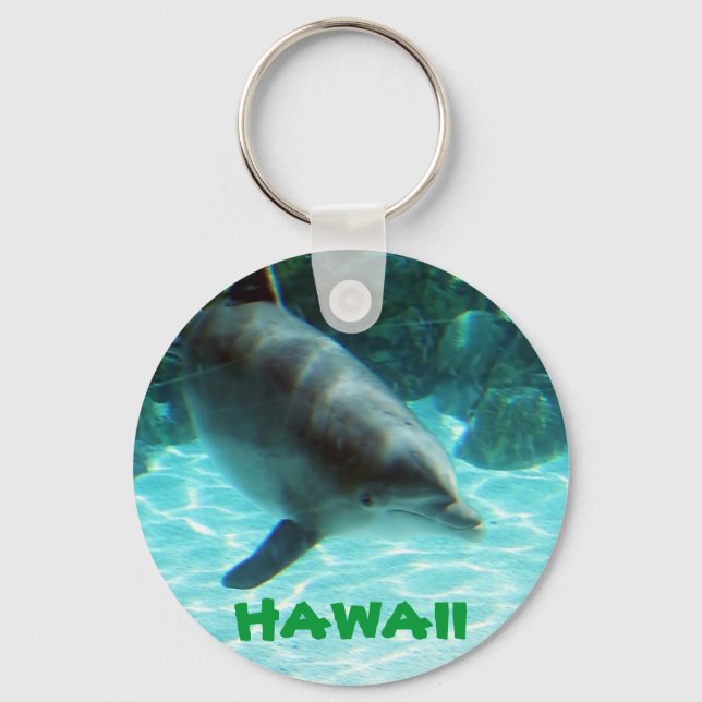 Hawaii Dolphin Key Ring (Front)