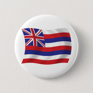 Hawaii Flag Button