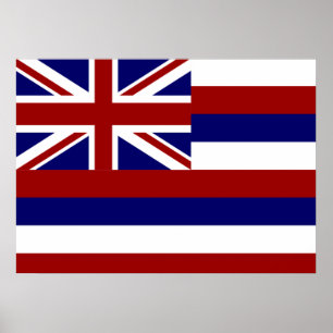 Hawaii flag poster