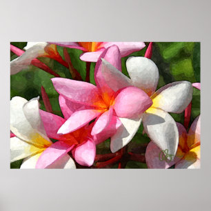 Hawaii Flowers Poster