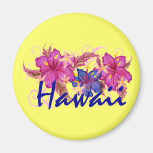 Hawaii fridge magnet