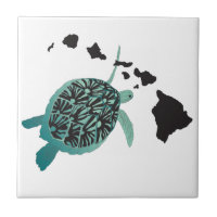 Hawaii green Sea Turtle and Hawaii Islands