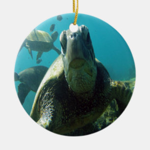 Hawaii Green Sea Turtle Ceramic Ornament