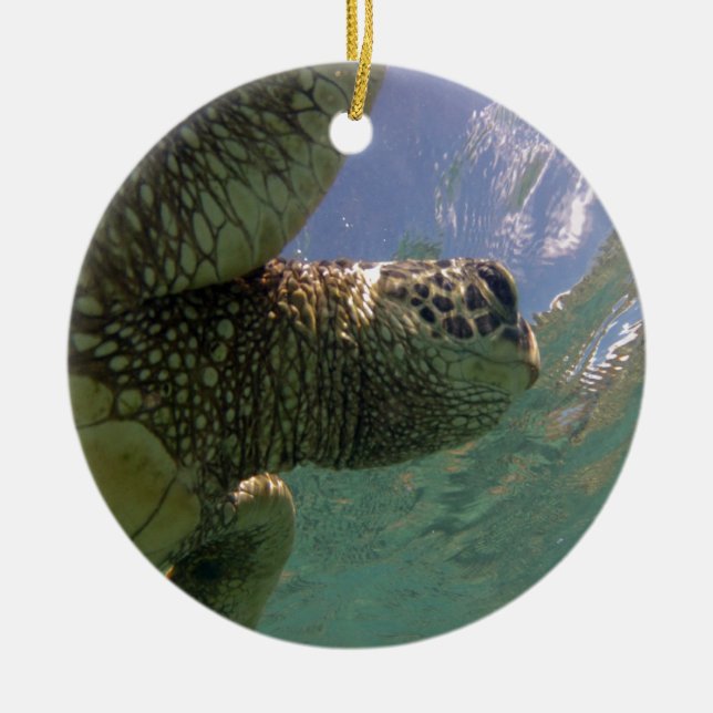 Hawaii Green Sea Turtle Ceramic Tree Decoration (Front)