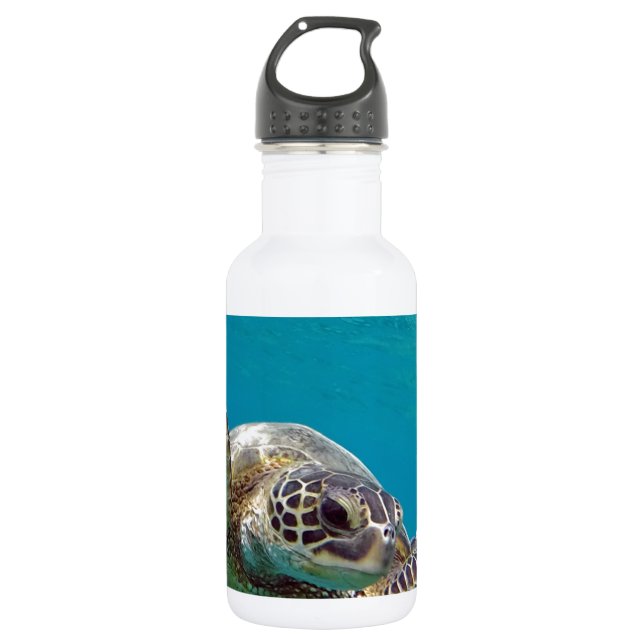 Hawaii Green Sea Turtle - Honu 532 Ml Water Bottle (Front)