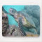 Hawaii Green Sea Turtle
