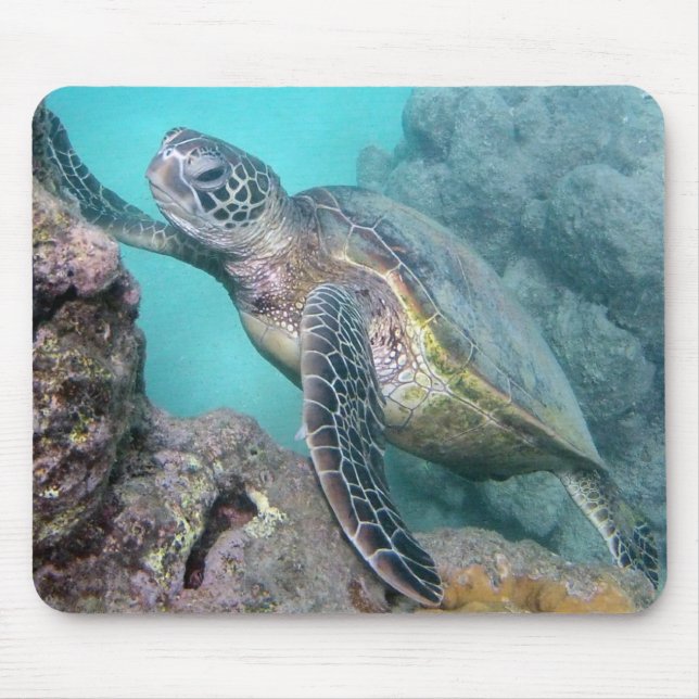 Hawaii Green Sea Turtle Mouse Pad (Front)