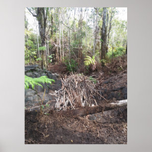 HAWAII GUAVA STICKS POSTER