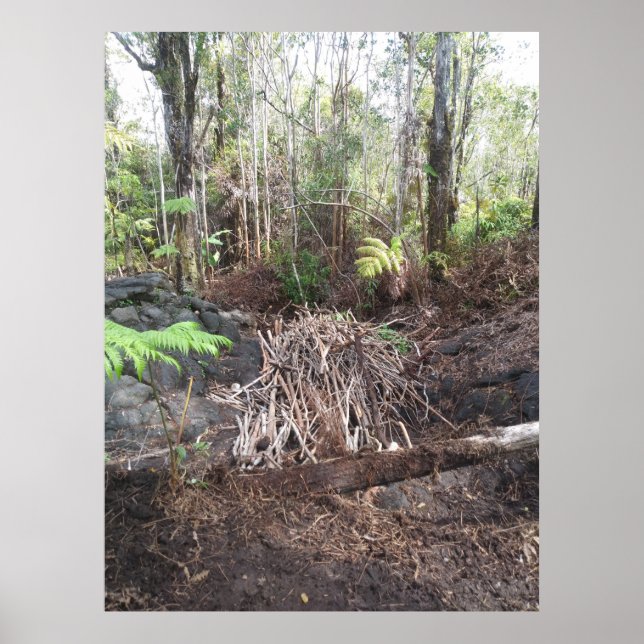 HAWAII GUAVA STICKS POSTER (Front)