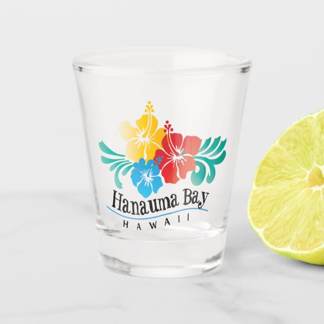 Hawaii Hanauma Bay hibiscus flowers shot glass (Front)
