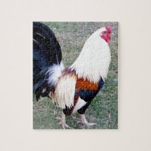 Hawaii Hanauma Bay Rooster Jigsaw Puzzle