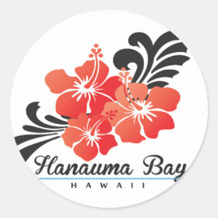 Hawaii Hibiscus Flowers Classic Round Sticker