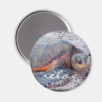 Hawaii honu tropical sea turtle photo relax script