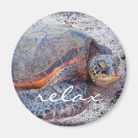 Hawaii honu tropical sea turtle photo relax script