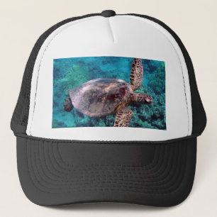 Hawaii Honu Turtle Cap