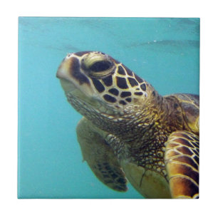 Hawaii Honu Turtle Ceramic Tile