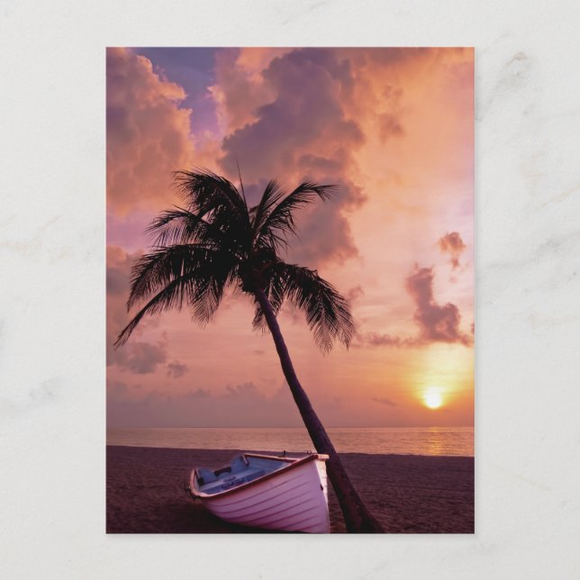 Hawaii Island Travel Beach Sunset Palm Tree Boat Postcard (Front)