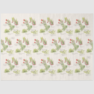 Hawai'i Island Volcano Native Plants Tissue Paper