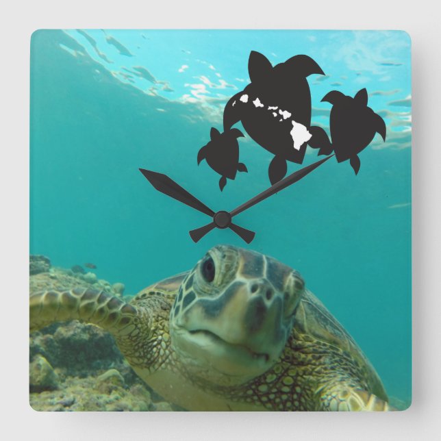 Hawaii Islands Turtles Square Wall Clock (Front)