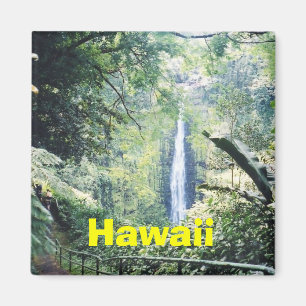 Hawaii magnet