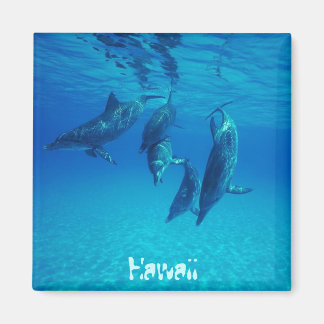 Hawaii Magnet
