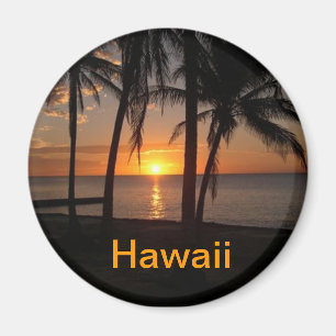 Hawaii magnet