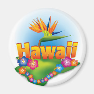 Hawaii Magnet Design