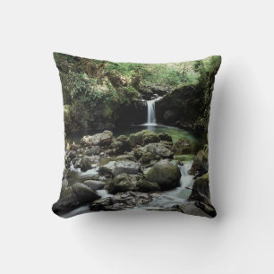Hawaii, Maui, A waterfall flows into Blue Pool Cushion