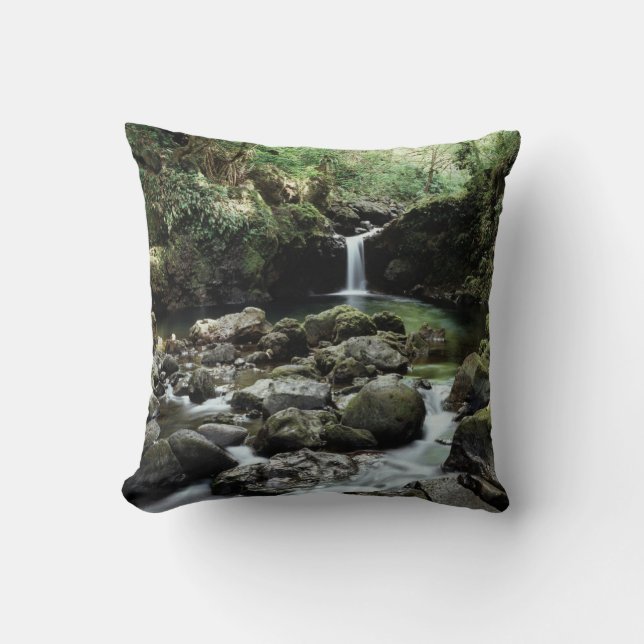 Hawaii, Maui, A waterfall flows into Blue Pool Cushion (Front)