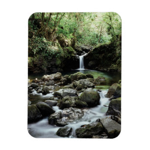 Hawaii, Maui, A waterfall flows into Blue Pool Magnet
