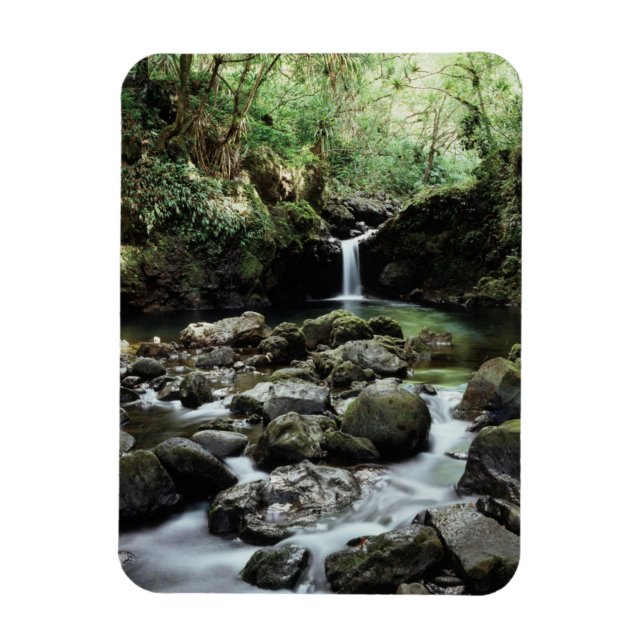 Hawaii, Maui, A waterfall flows into Blue Pool Magnet (Vertical)