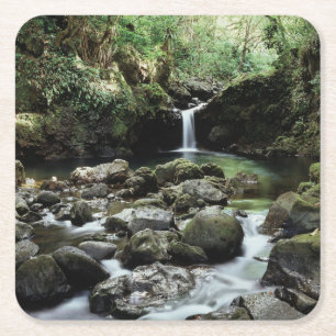 Hawaii, Maui, A waterfall flows into Blue Pool Square Paper Coaster