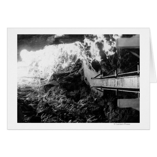 Hawaii National Park, View of a Lava Tube (Front Horizontal)