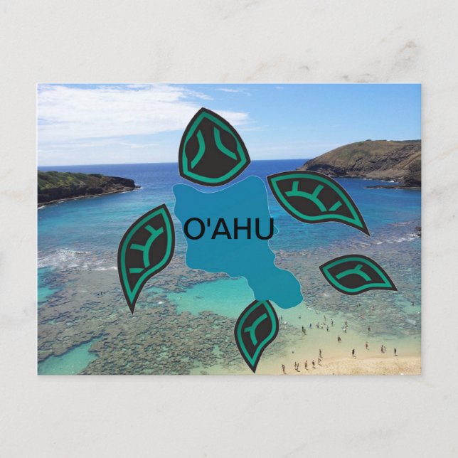 Hawaii Oahu Island Turtle Postcard (Front)