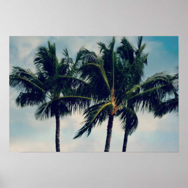 Hawaii Palm Trees Poster (Front)