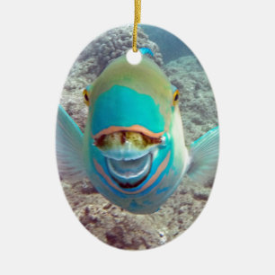 Hawaii Parrot Fish Ceramic Ornament