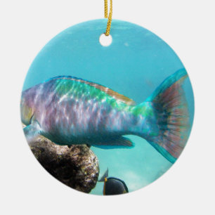 Hawaii Parrot Fish Ceramic Ornament