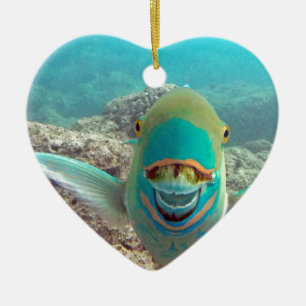Hawaii Parrot Fish - Uhu Ceramic Ornament