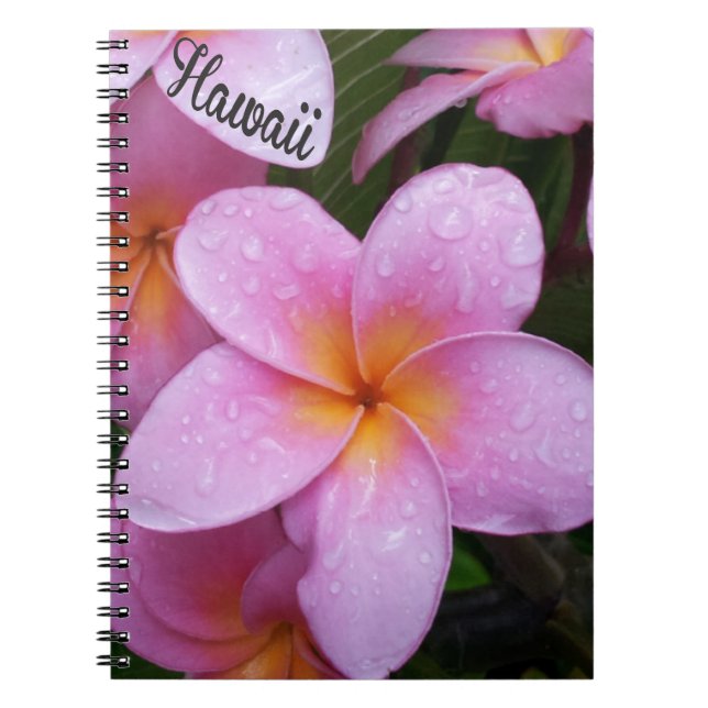 Hawaii Pink Plumeria Flowers Notebook (Front)