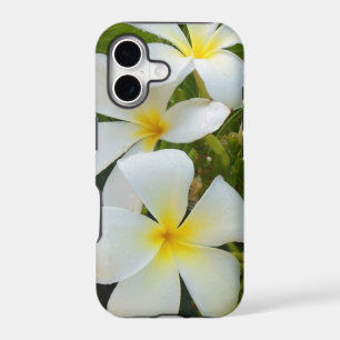 Hawaii Plumeria