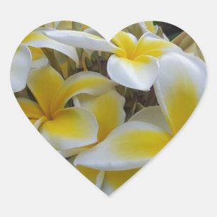 Hawaii Plumeria Flowers Heart Sticker