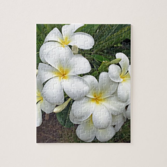 Hawaii Plumeria Flowers Jigsaw Puzzle (Vertical)