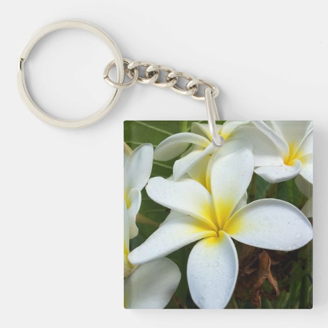 Hawaii Plumeria Flowers Key Ring (Front)