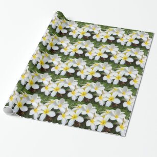Hawaii Plumeria Flowers Wrapping Paper