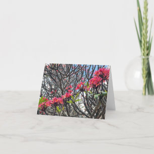 Hawaii Plumeria Thank You Card