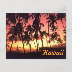 Hawaii Postcard
